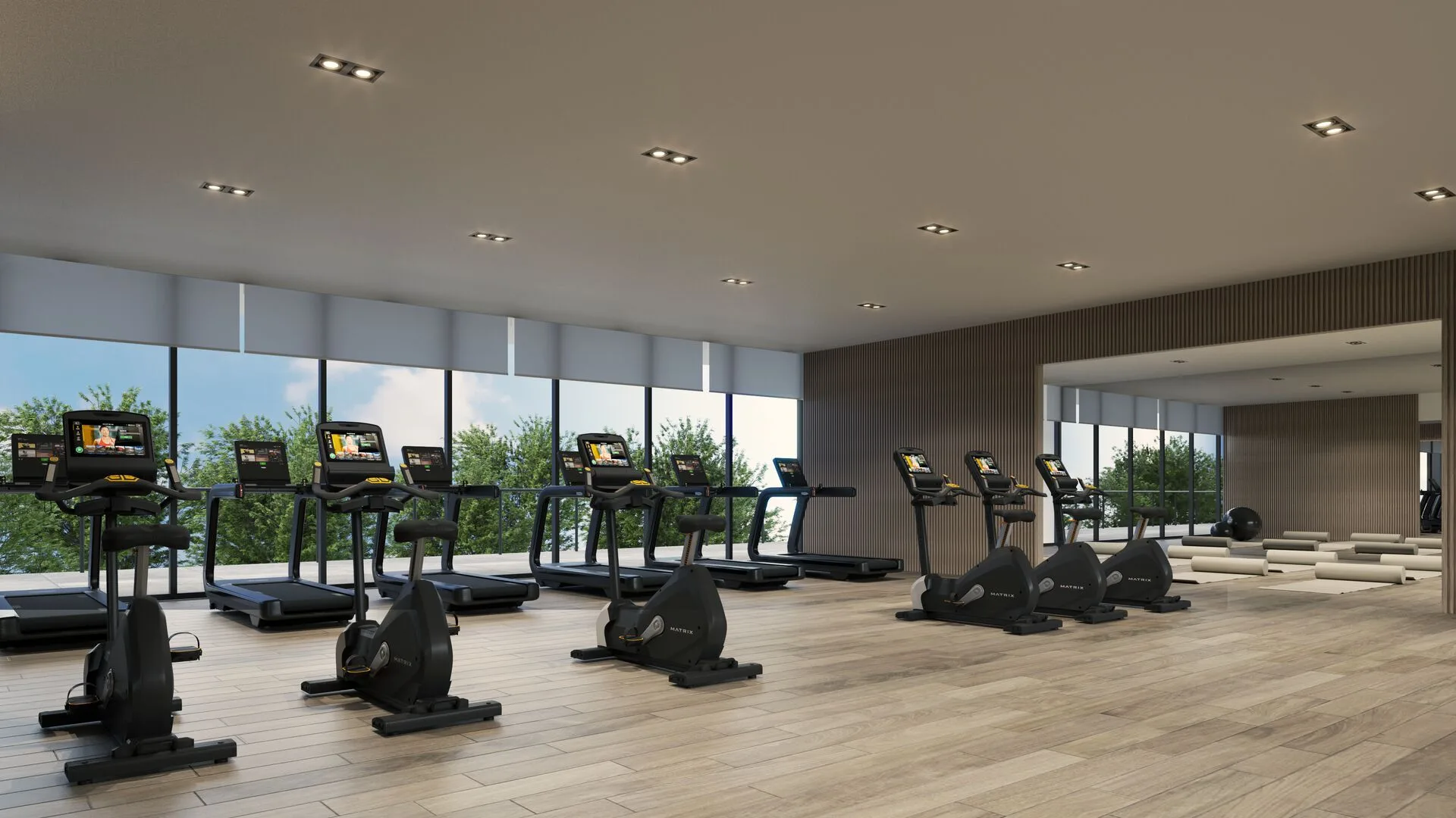 Gimnasio